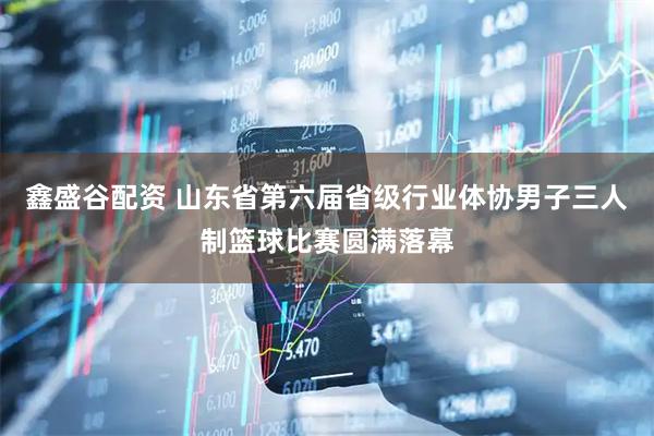 鑫盛谷配资 山东省第六届省级行业体协男子三人制篮球比赛圆满落幕