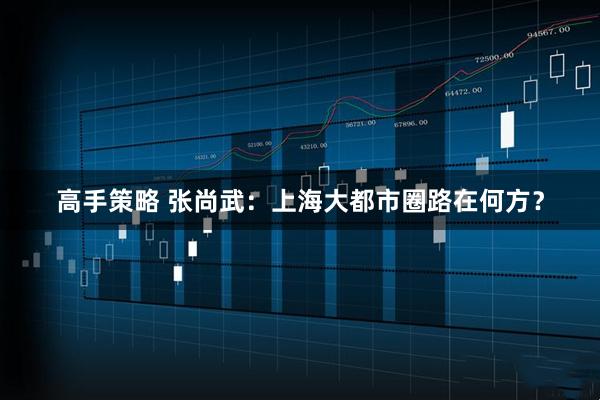高手策略 张尚武：上海大都市圈路在何方？